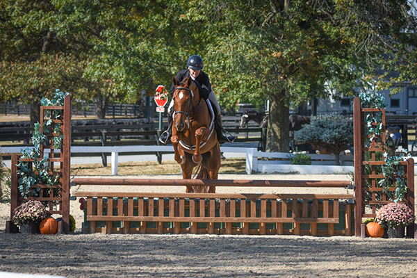 Gayle Cook and Royal Flame