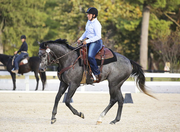 Lauren Burke and Frank's Gift at the 2019 Thoroughbred Makeover