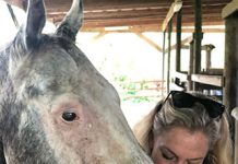 laurie hood, Fforida state director for animal wellness action