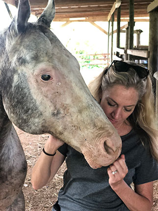 Laurie Hood, Florida state director for Animal Wellness Action, helps horses impacted by Hurricane Dorian.