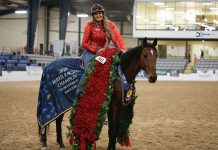 Fallon Taylor and Cowboy Swagger at the 2019 Thoroughbred Makeover