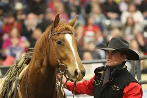 Back by Popular Demand at Road to the Horse 2020