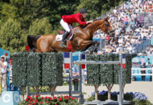 Karl Cook and Caracole de la Roque go clear for the third time at the 2024 Paris Olympics to advance to the Jumping Individual Final