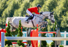 Christian Kukuk (GER) and Checker 47 sail over a jump during the Show Jumping Individual Final at the Paris 2024 Paris Olympic Games equestrian competition