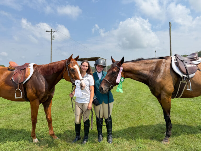 ASPCA Right Horse Adoptable Horse of the Week: Queso