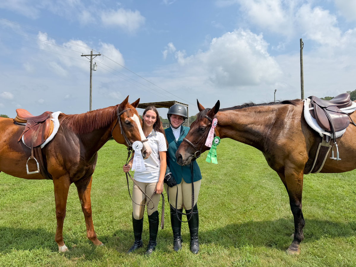 ASPCA Right Horse Adoptable Horse of the Week: Queso