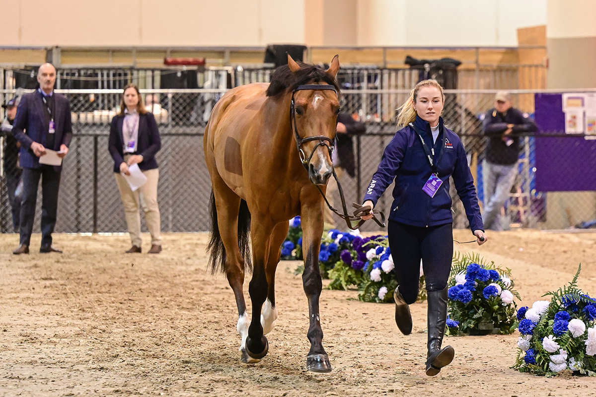 Jumping inspection at FEI World Cup finals