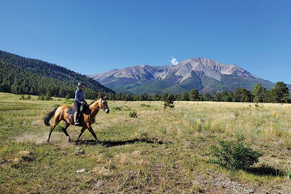 A bucksin Akhal-Teke being ridden in the mountains