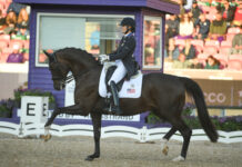 2022 FEI World Championships – Day 2 2022 FEI World Championships Day 2