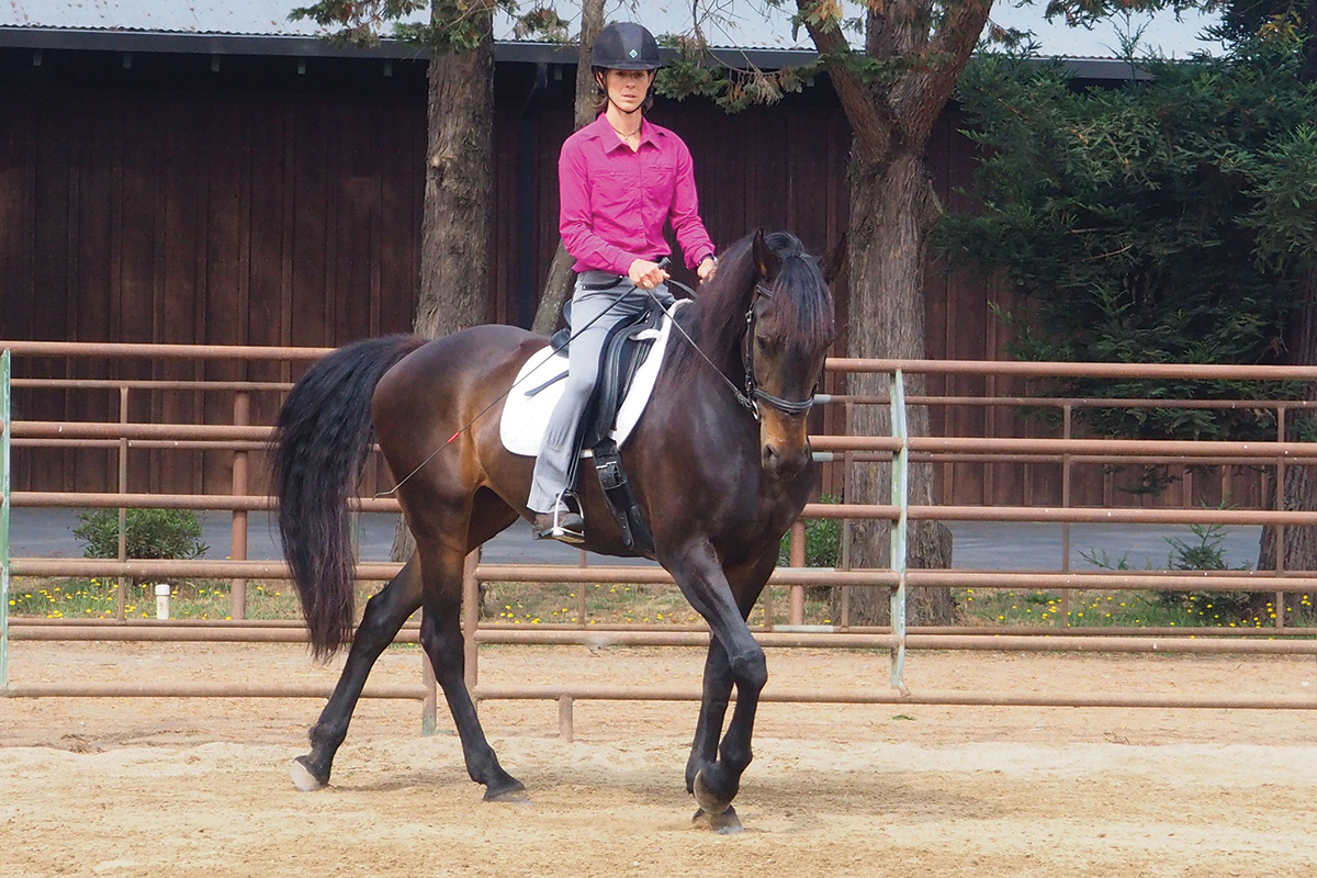 A girl rides her horse, showing the benefits of walking her horse under saddle