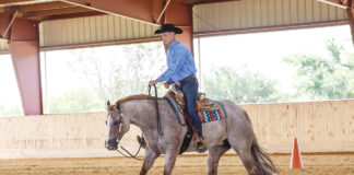 A top AQHA trainer performs a lead change on a roan horse