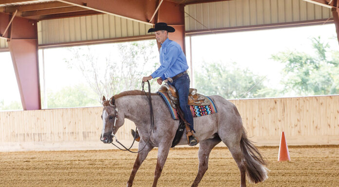 A top AQHA trainer performs a lead change on a roan horse