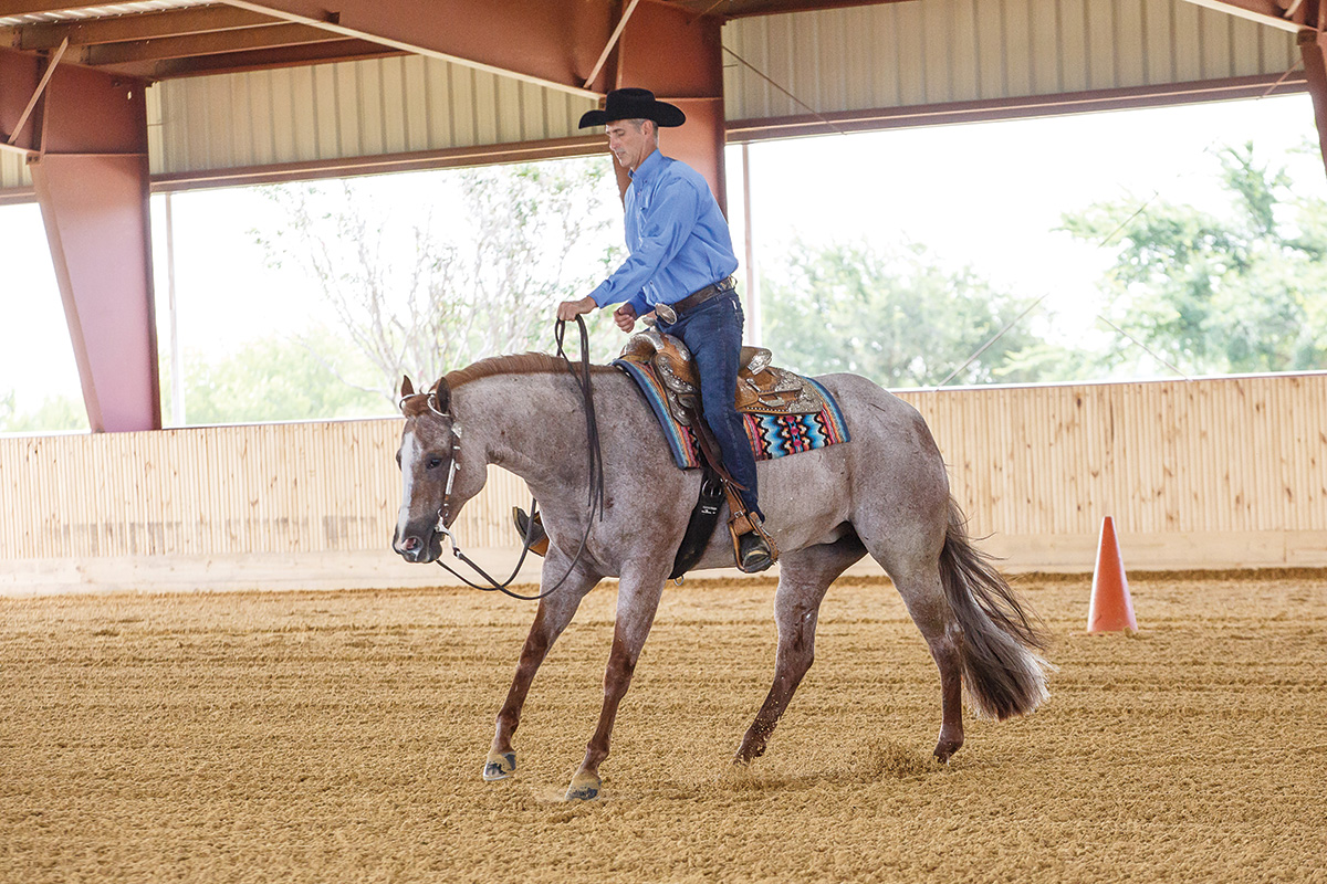 A top AQHA trainer performs a lead change on a roan horse