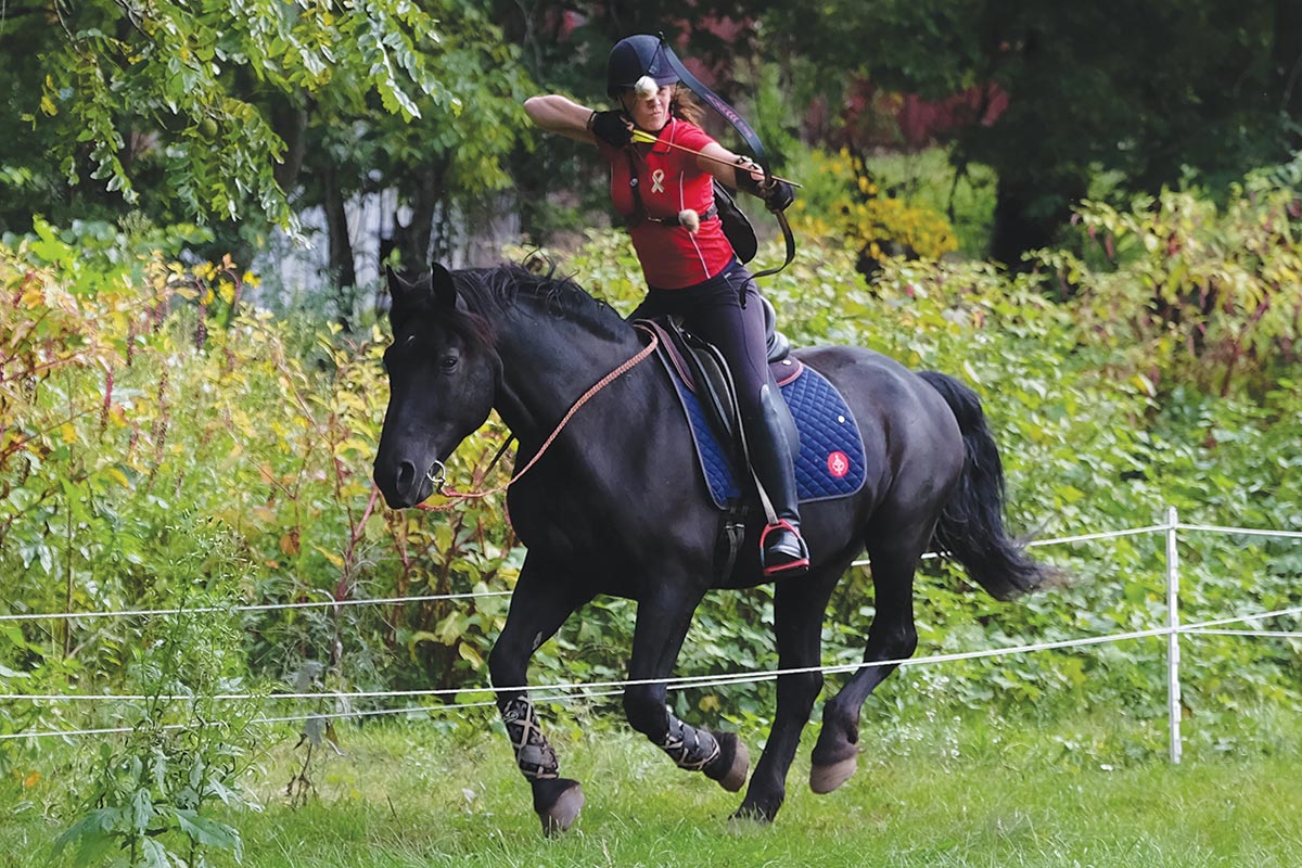 endangered horse breed