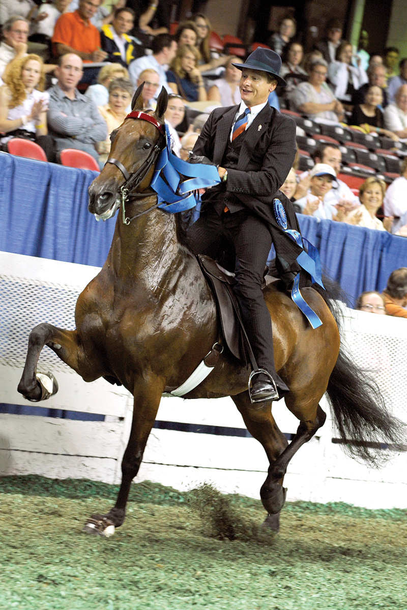 Carson Kressley showing Enchanting Memories at the World’s Championship Horse Show