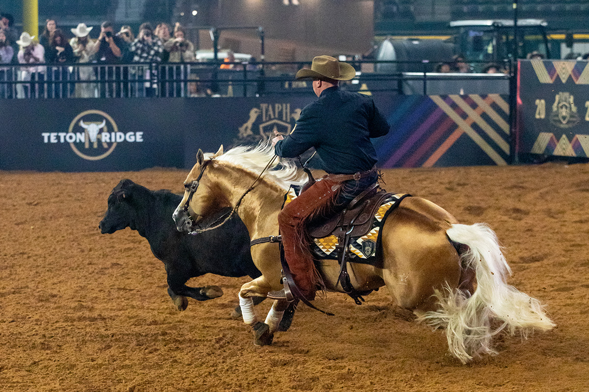 Corey Cushing and SJR Talkin Diamonds in reined cow horse