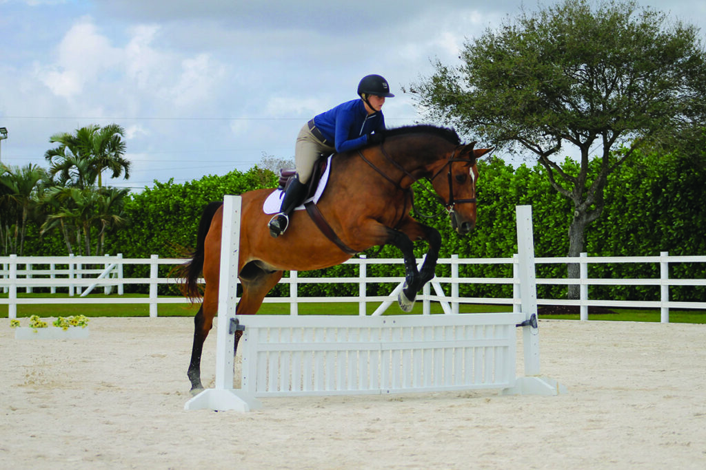 Show jumping with horses - Challenging and fun!