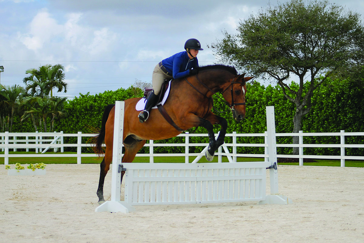 Jumping Practice Courses