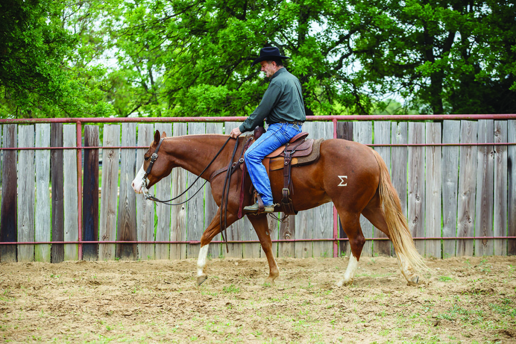 ranch riding downward transitions