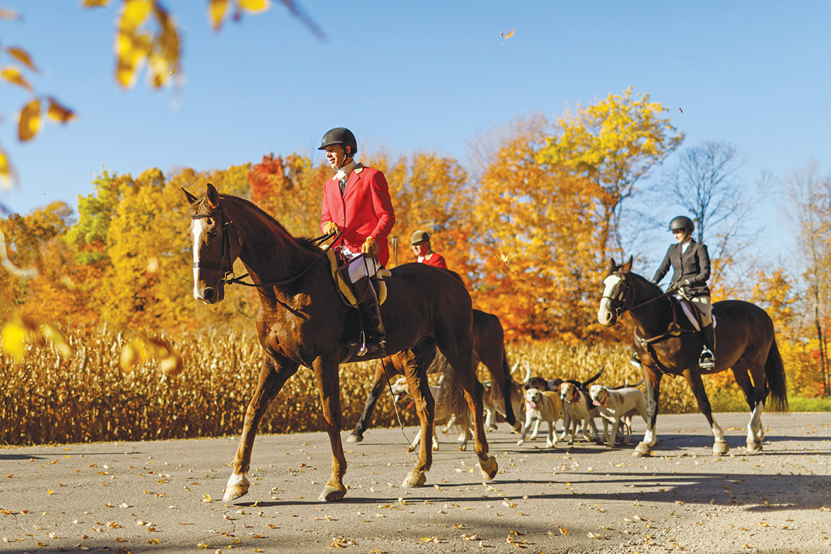 Riders go on a drag hunt, a more human version of fox hunting amid controversy