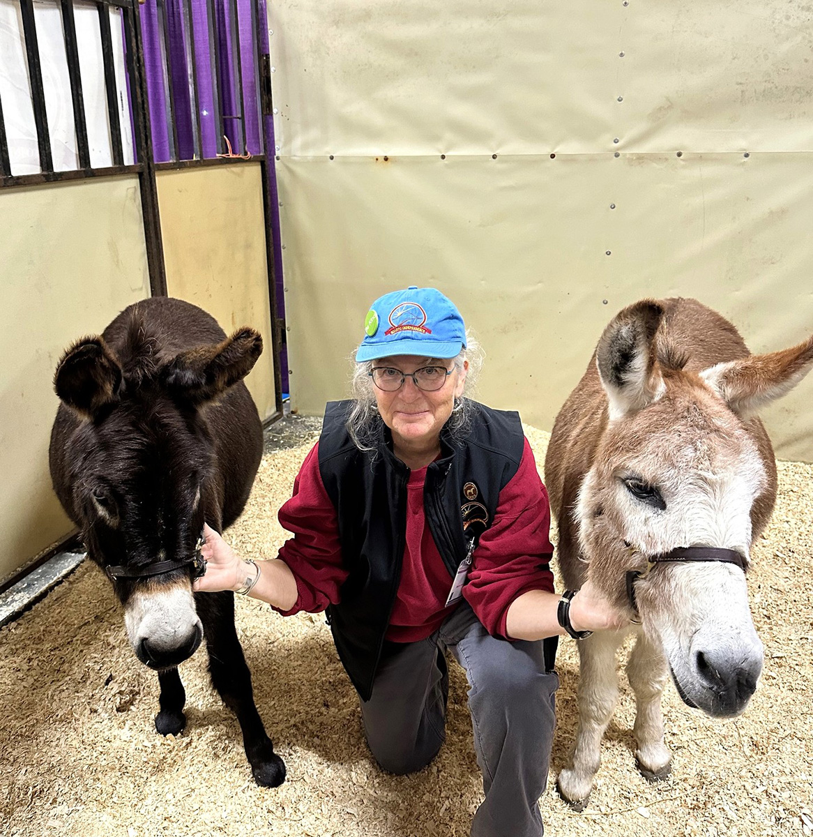 A woman with two miniature donkeys.