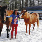 A woman with two senior horses in the snow