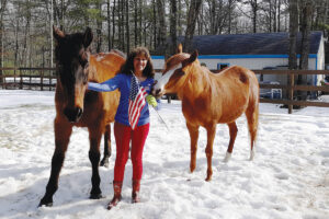 Forming Bonds with Adopted Senior Horses
