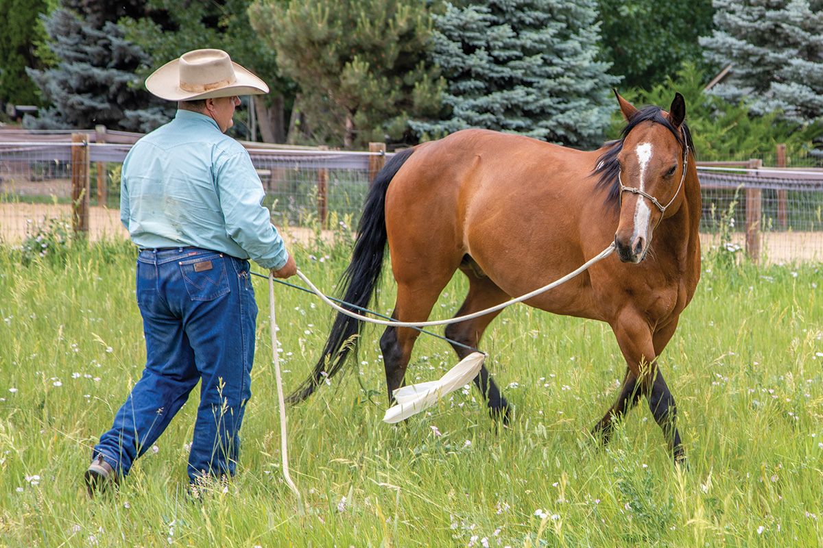 A man practices groundwork with a horse
