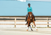 Correcting Leg-Yield Errors with Your Horse