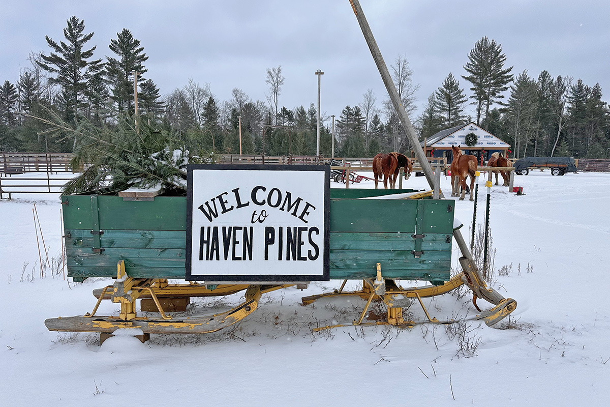 The Haven Pines family sleigh ride business.