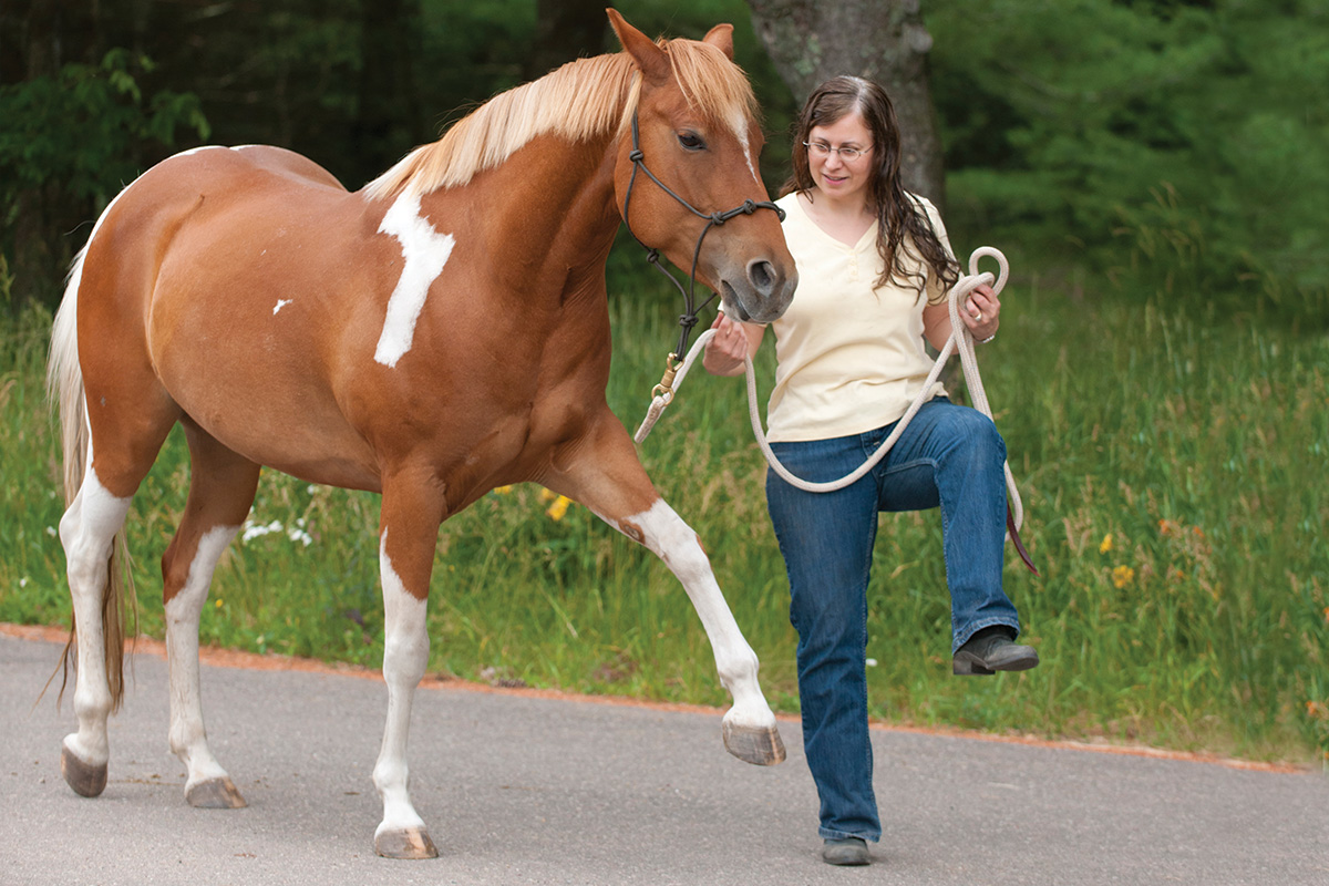 An equestrian teaches her horse the Spanish walk as a trick to engage his mind as a boredom solution