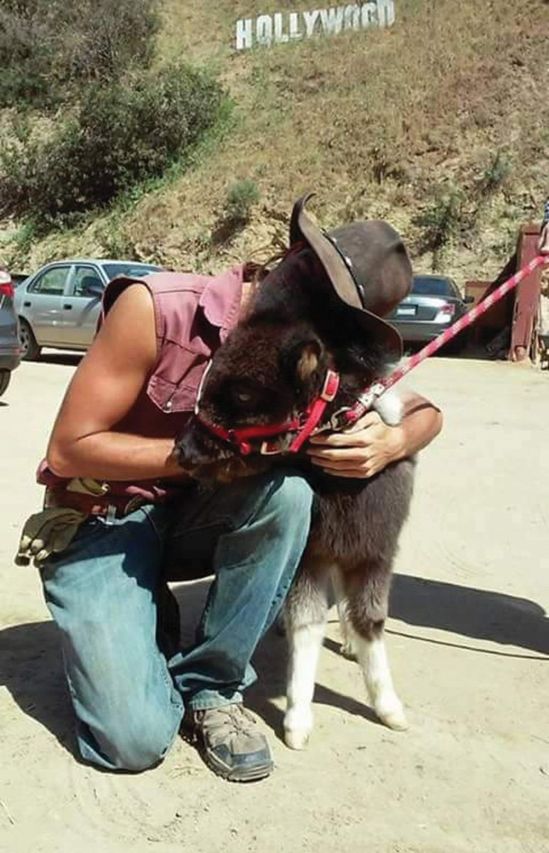 Hugh Englehart hugs a Mini named Squishy, whose career is doing TV commercials.