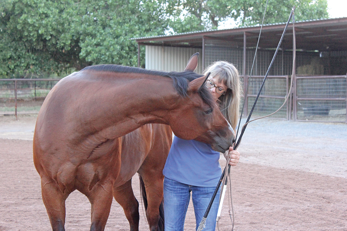 trick horse wrangler