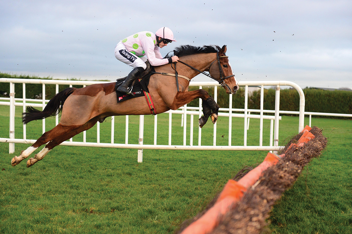 Faugheen steeplechasing