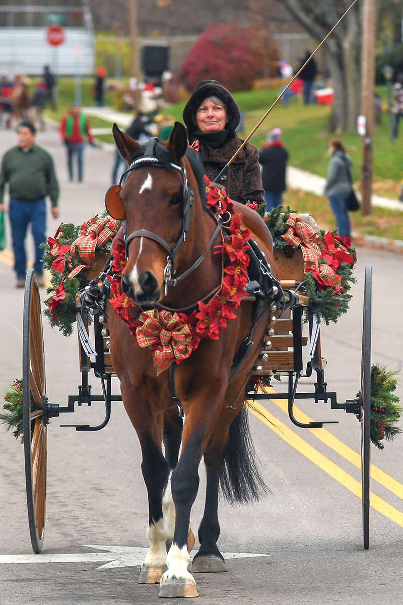 driving horse in a parade