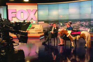 Equine Service Animals Take Flight