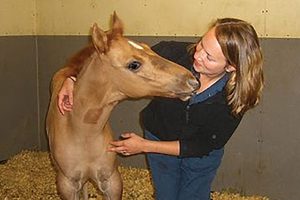 Readers’ Choice: Best Veterinarian