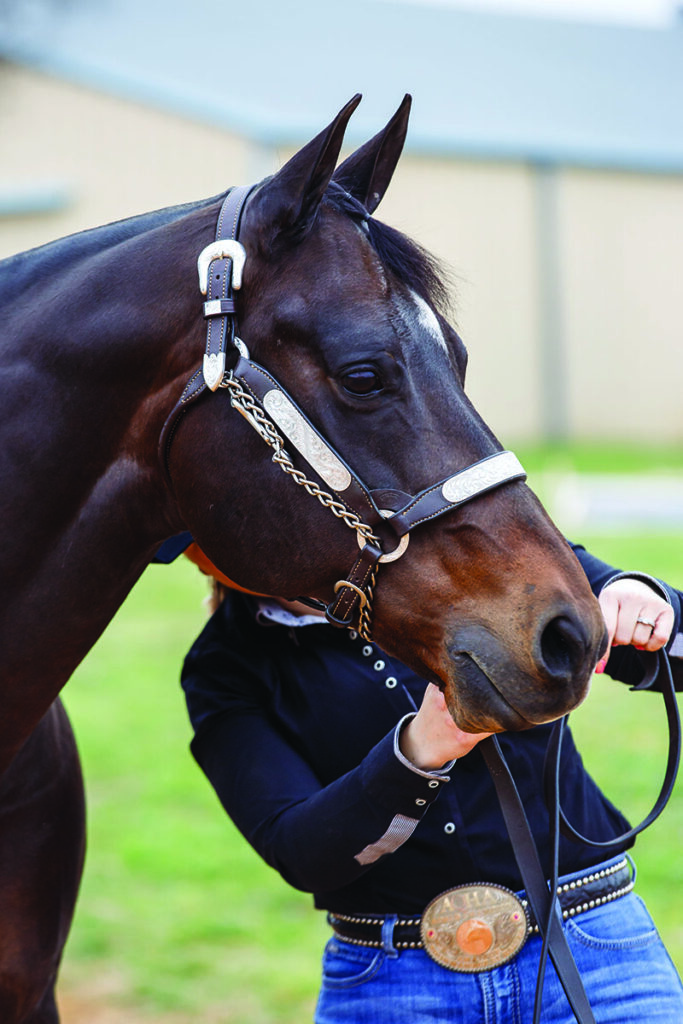 horse pivoting