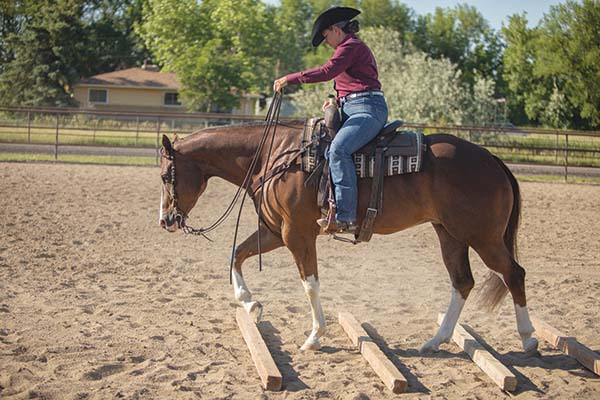 riding over logs