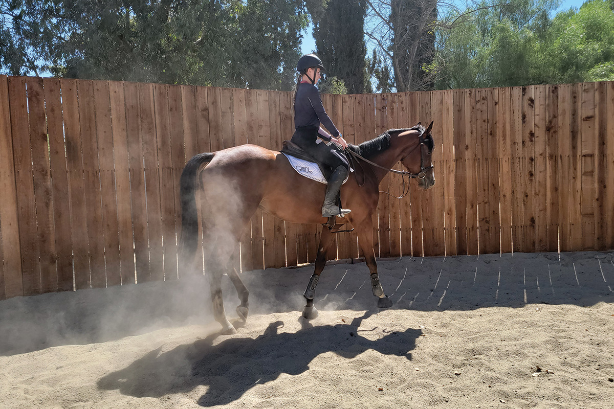 A potential adopter tries out a horse for the first time in the new round pen at Win Place Home