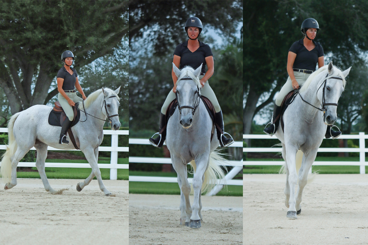 A collage of a rider working to get her horse to relax under saddle