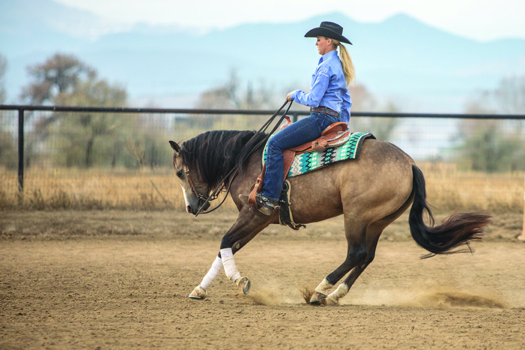 horse reining rundown