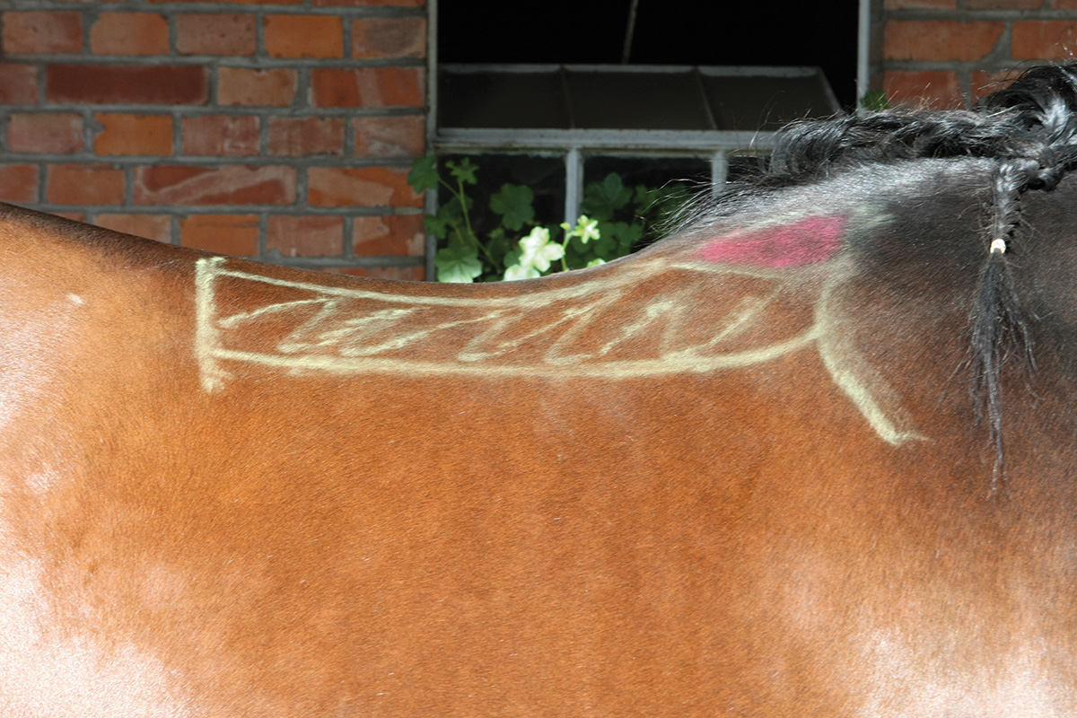 The use of chalk to determine the correct fitting of a saddle