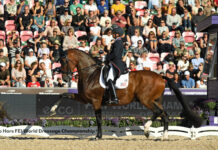 2022 FEI World Championships – Day 4 steffen peters