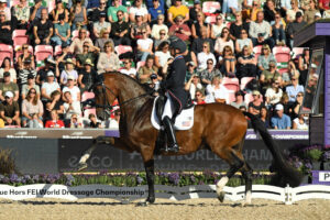 2022 FEI World Championships – Day 4