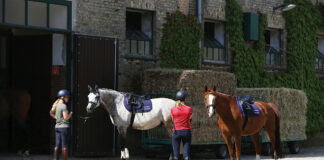 The Deutsches Reitschule, or German Riding School, in Warendorf.
