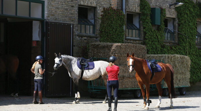 The Deutsches Reitschule, or German Riding School, in Warendorf.