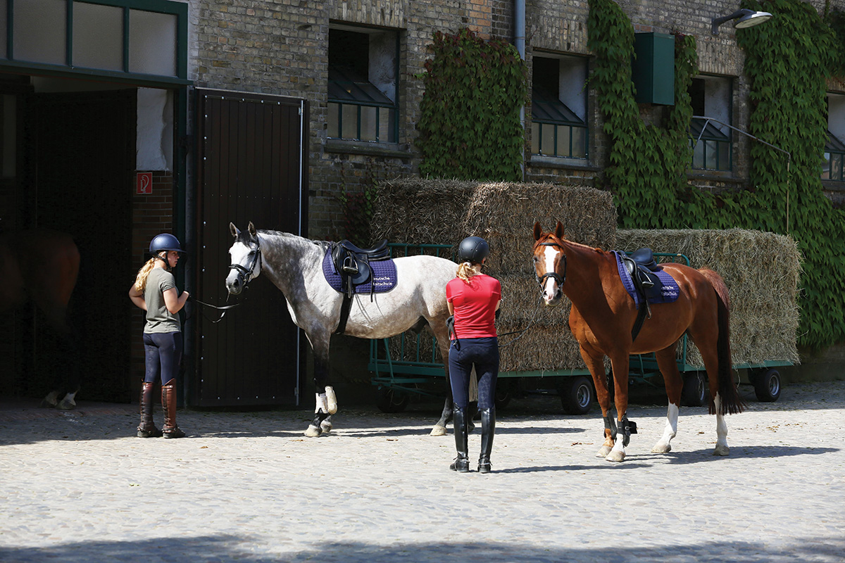 The Deutsches Reitschule, or German Riding School, in Warendorf.