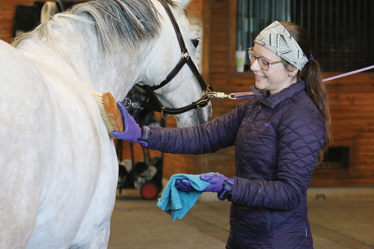 A girl grooms her horse in the winter