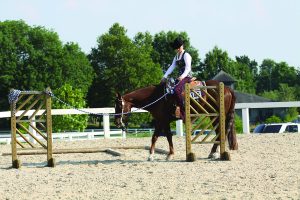 Wise Up With Your Ring-Wise Horse